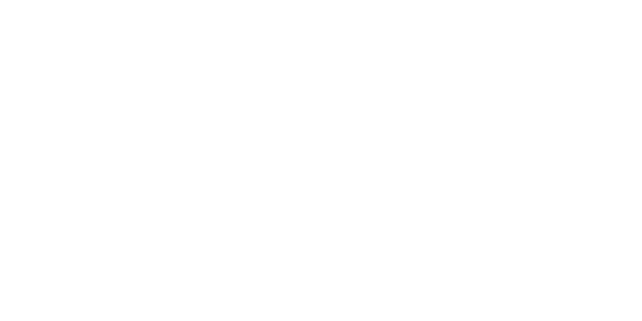 Tazt Stone company