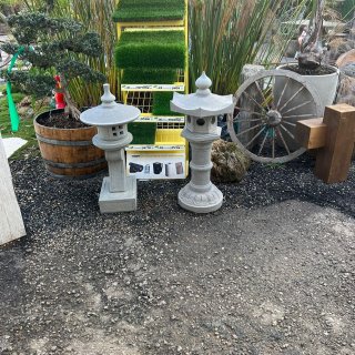 Landscape - Light - High light 